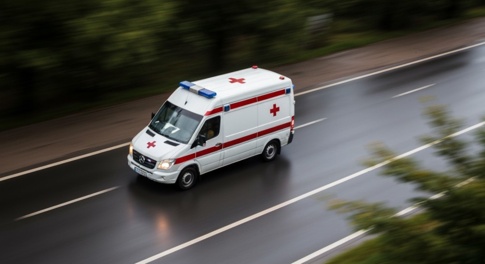 Bezpieczne Grzybobranie: Kluczowe Zasady na Leśnej Wyprawie