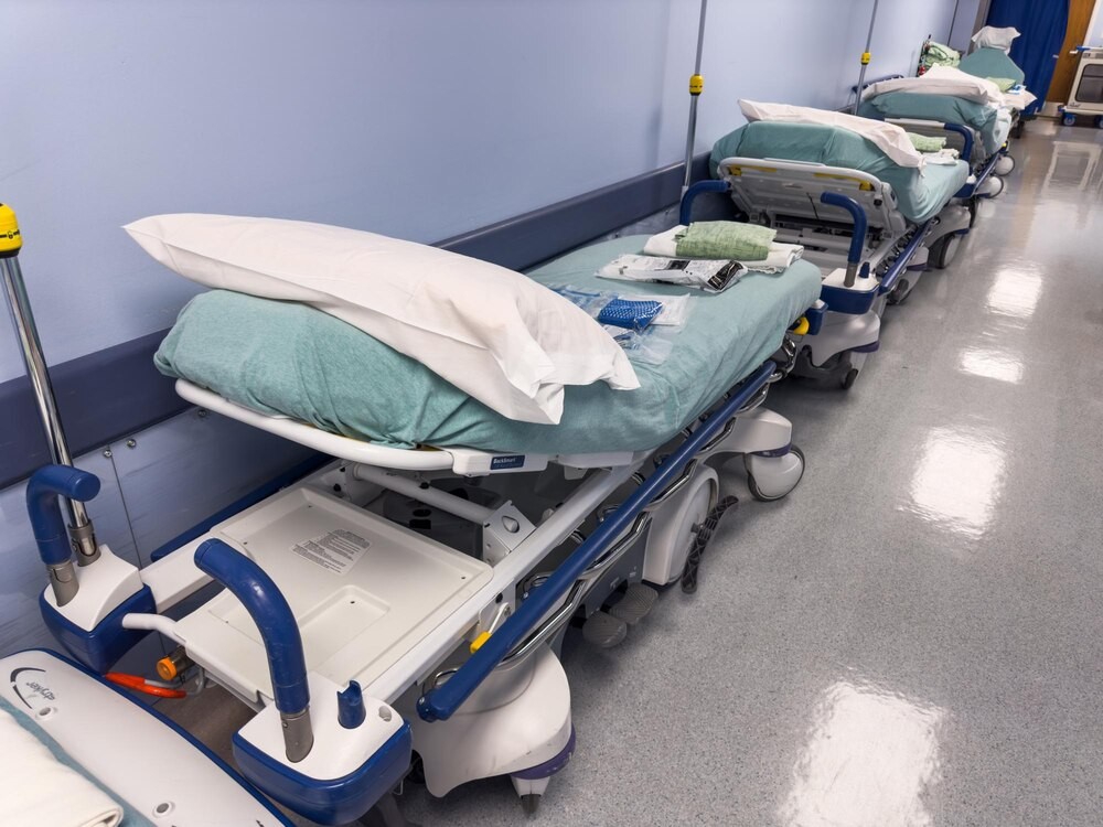 Walka o prawa zwierząt: Nowe zmiany w ustawie w Dniu Ochrony Czworonogów!